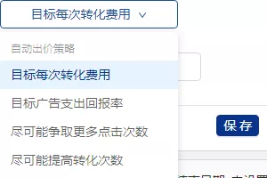 Google Ads 广告投放插图9