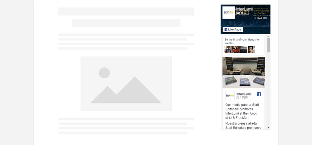Facebook Page信息框